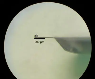 iron based HTS